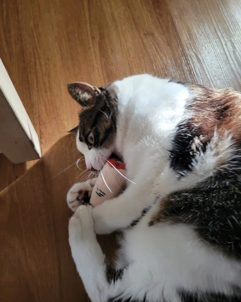 Pull My Finger Catnip Toy