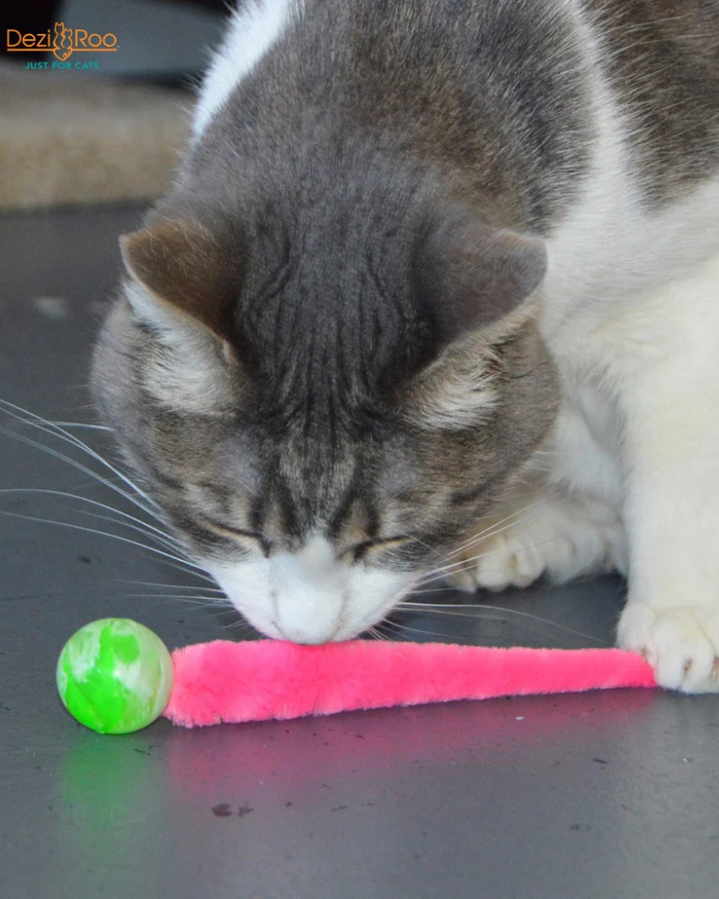 Wiggy Ball Cat Toy (Made in the USA)