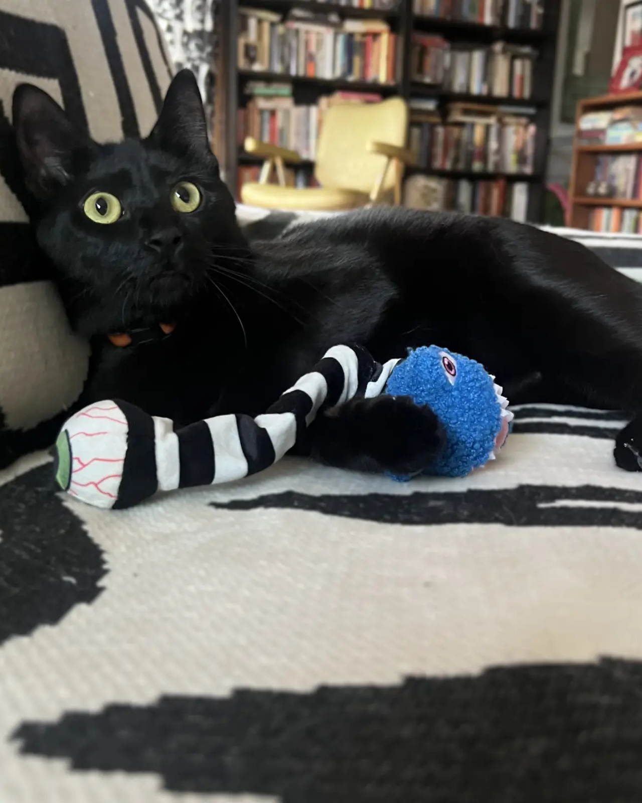 Eyesaur Jr. Crinkly Catnip Toy