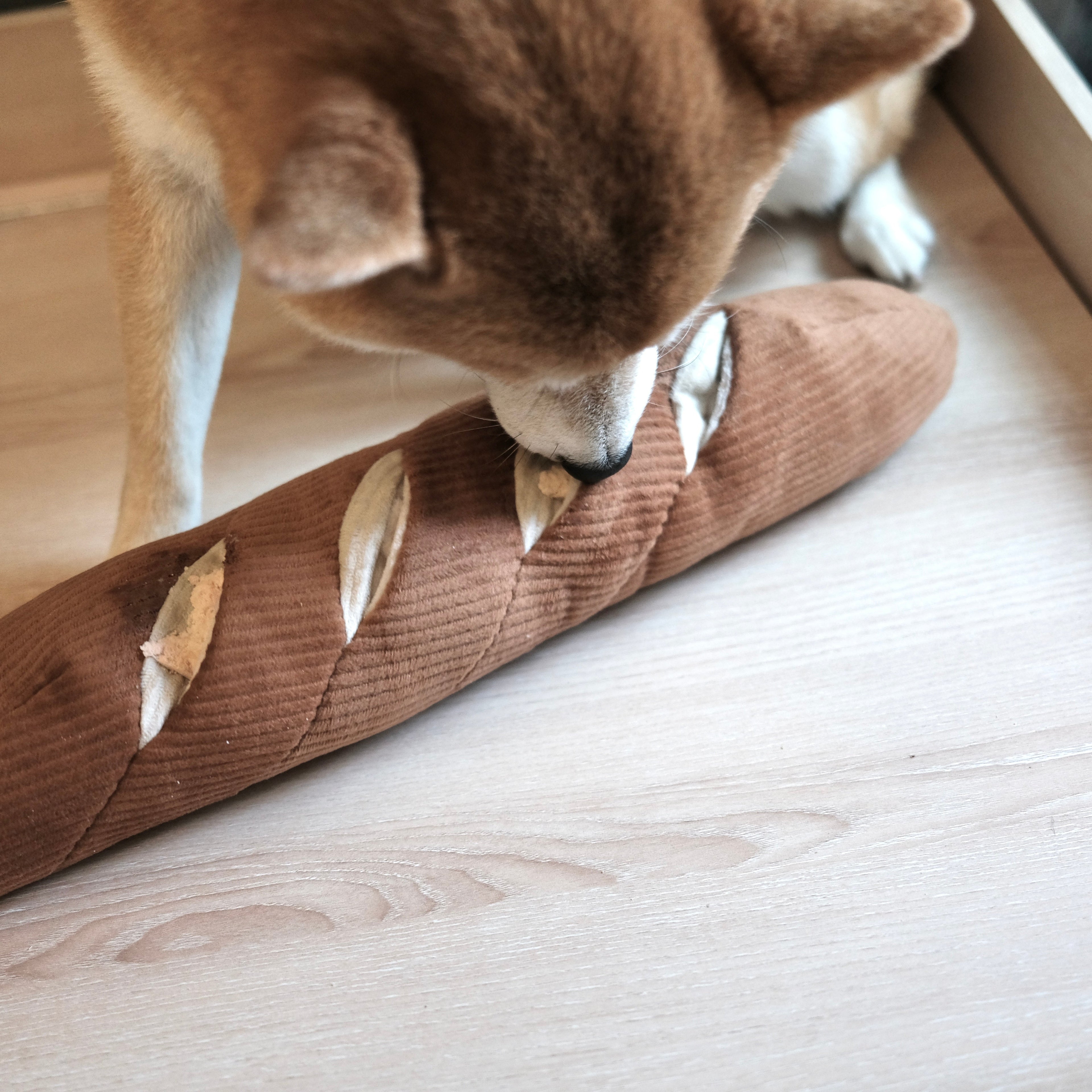 BAGUETTE