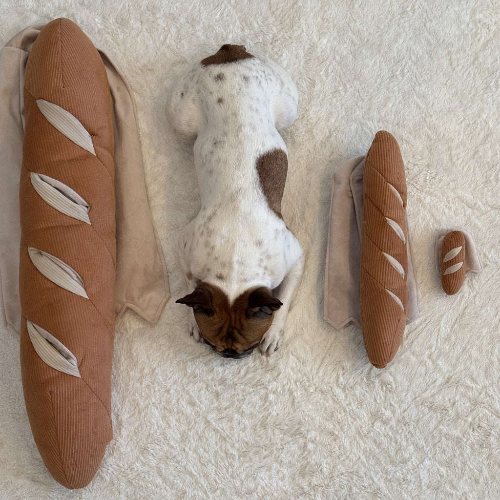 BAGUETTE
